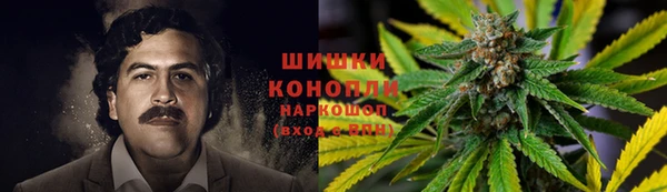 spice Алексеевка