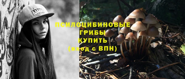 spice Алексеевка