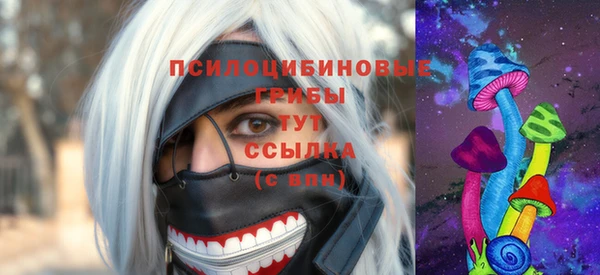 spice Алексеевка